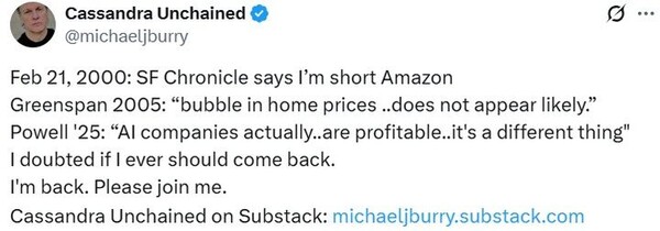 [뉴시스] 마이클 버리가 엑스에 올린 글. (사진=엑스 캡처) 2025.11.25 *재판매 및 DB 금지